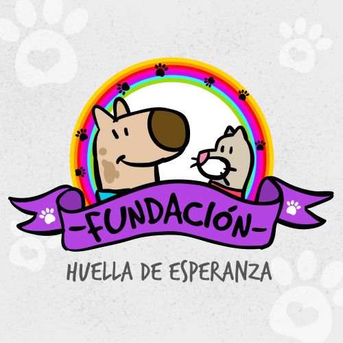 Bono de Donación en Efectivo