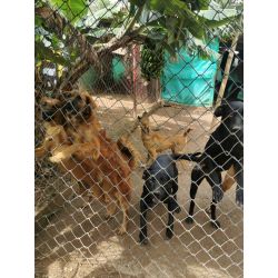 Bono de Donación en Efectivo $30.000 pesos