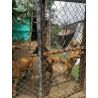 Bono de Donación en Efectivo $30.000 pesos