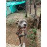 Bono de Donación en Efectivo $30.000 pesos