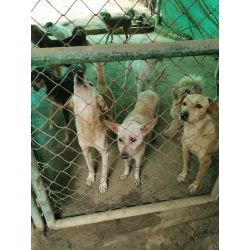 Bono de Donación en Efectivo $30.000 pesos