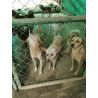 Bono de Donación en Efectivo $30.000 pesos