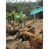 Bono de Donación en Efectivo $30.000 pesos