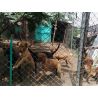 Bono de Donación en Efectivo $30.000 pesos