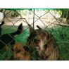 Bono de Donación en Efectivo $30.000 pesos