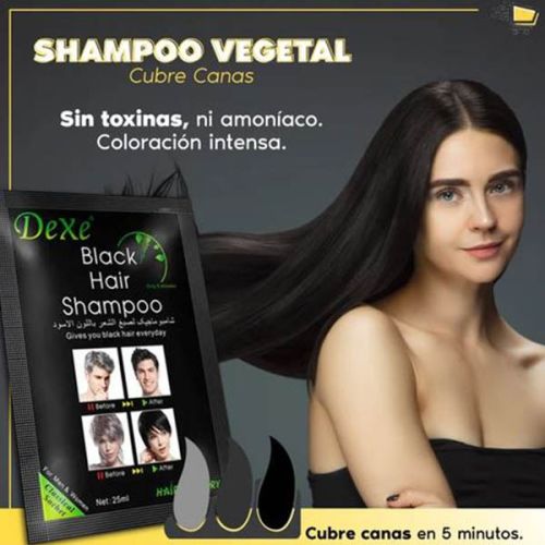 Shampoo Cubre Canas Black Hair
