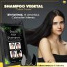Shampoo Canas Black Hair Dye Original (Tinte Rápido 5 Minutos)