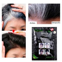 Shampoo Cubre Canas Black Hair